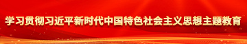 插鸡巴视频啊啊啊学习贯彻习近平新时代中国特色社会主义思想主题教育